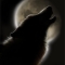 Аватарка пользователя Wolfman_666